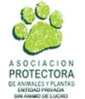 ASOCIOACION PROTECTORA DE ANIMALES